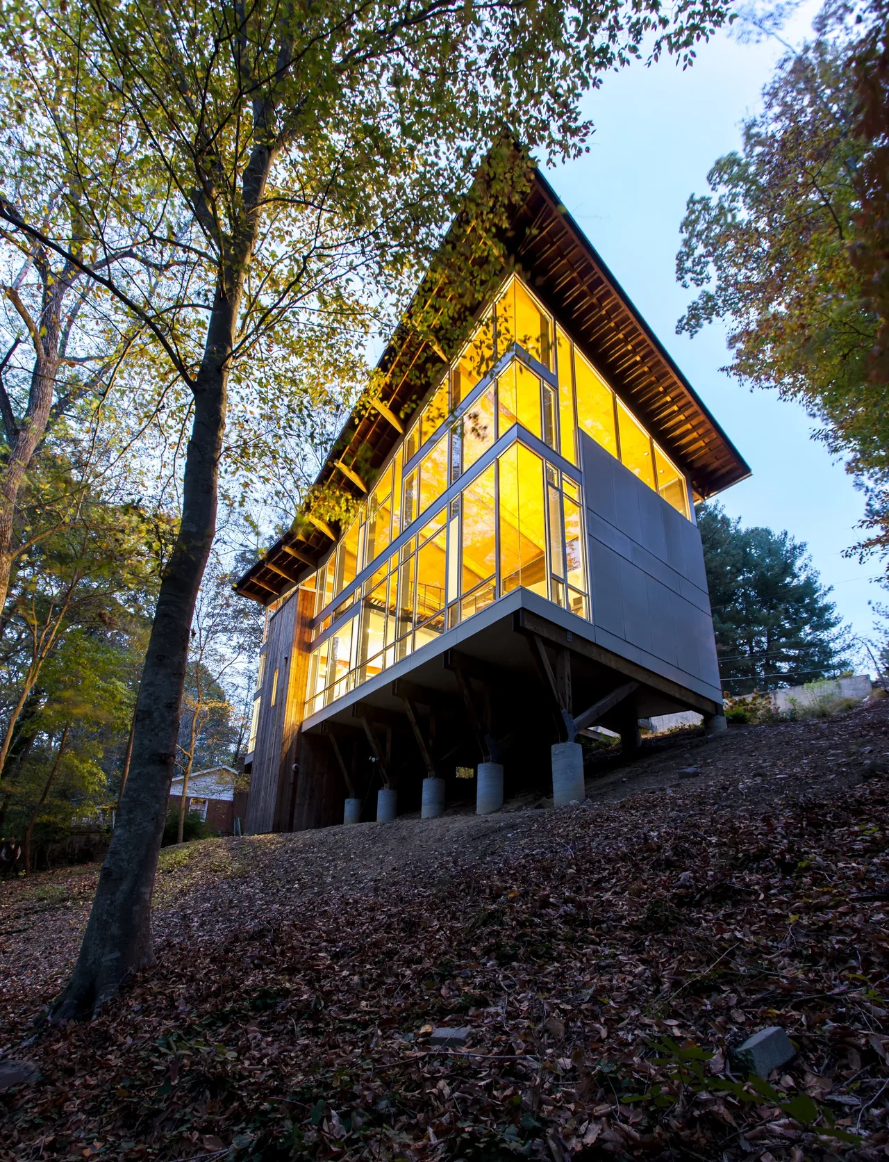 Strickland-Ferris Residence features an elevated structure with large floor-to-ceiling glazing on a wooded sloping site.