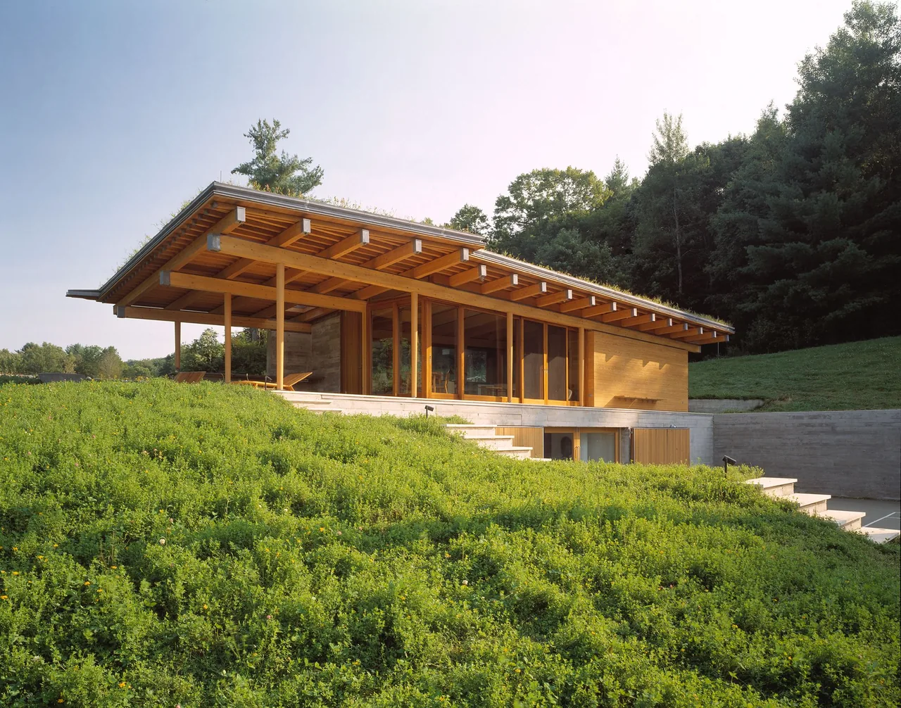 Seaside House by Gray Organschi Architecture features a wood-clad exterior with floor-to-ceiling windows and an extended flat roof overhang.