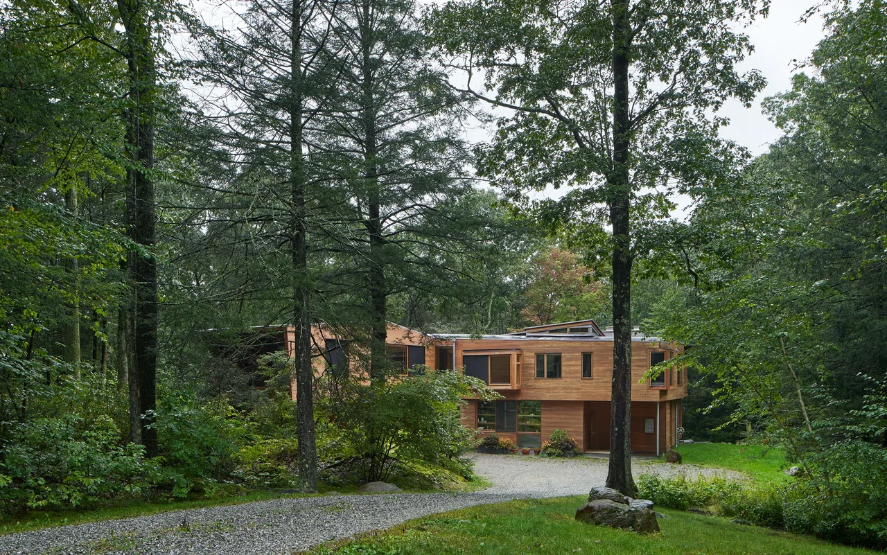 Modern wooden house partially hidden by tall trees in a wooded setting with a gravel driveway.