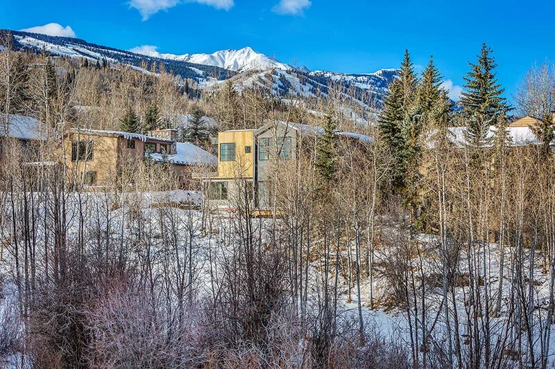 Modern wood-clad house surrounded by snow and trees with mountain views in the background.