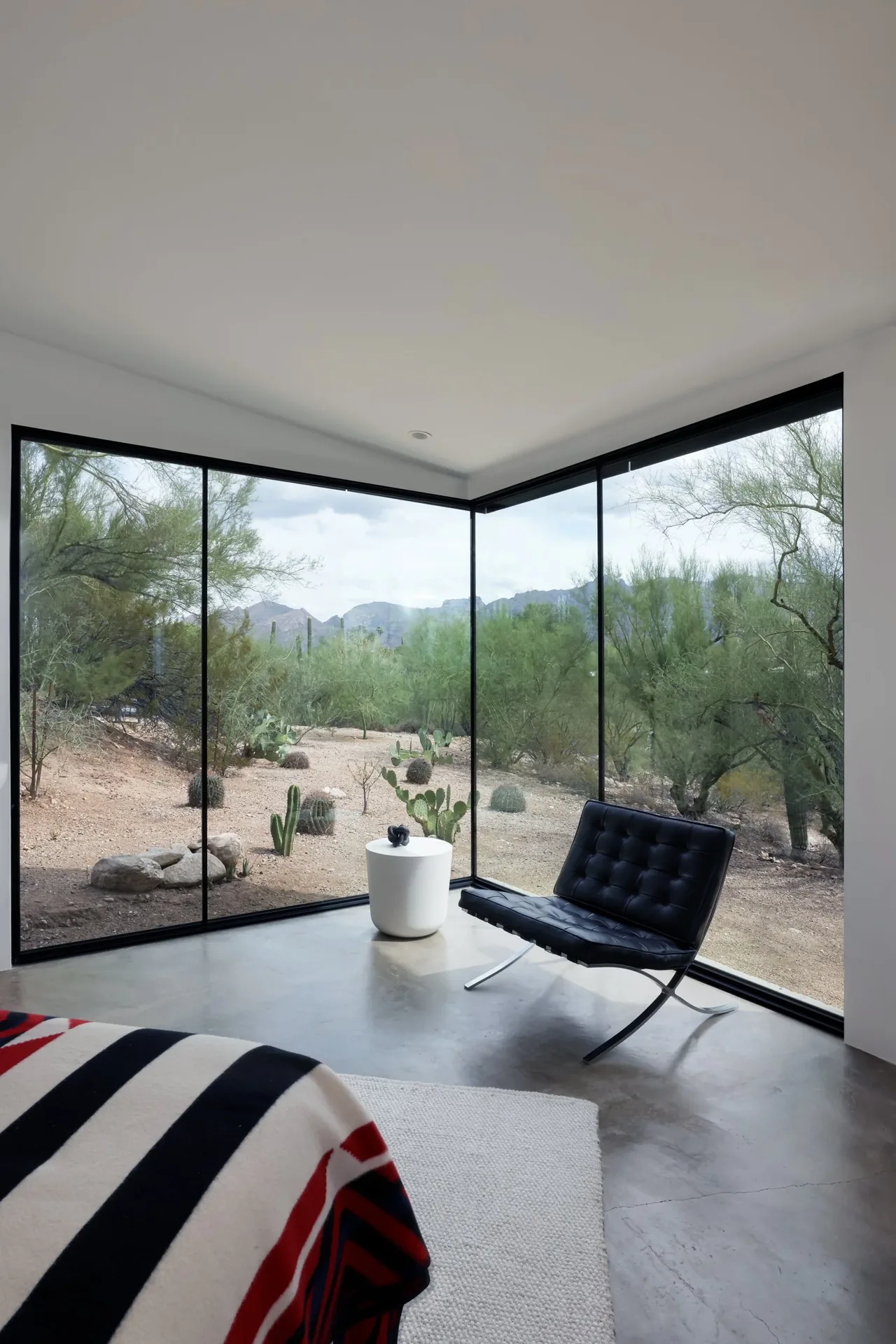 Corner view of a modern room featuring floor-to-ceiling glass walls framing desert plants outside.