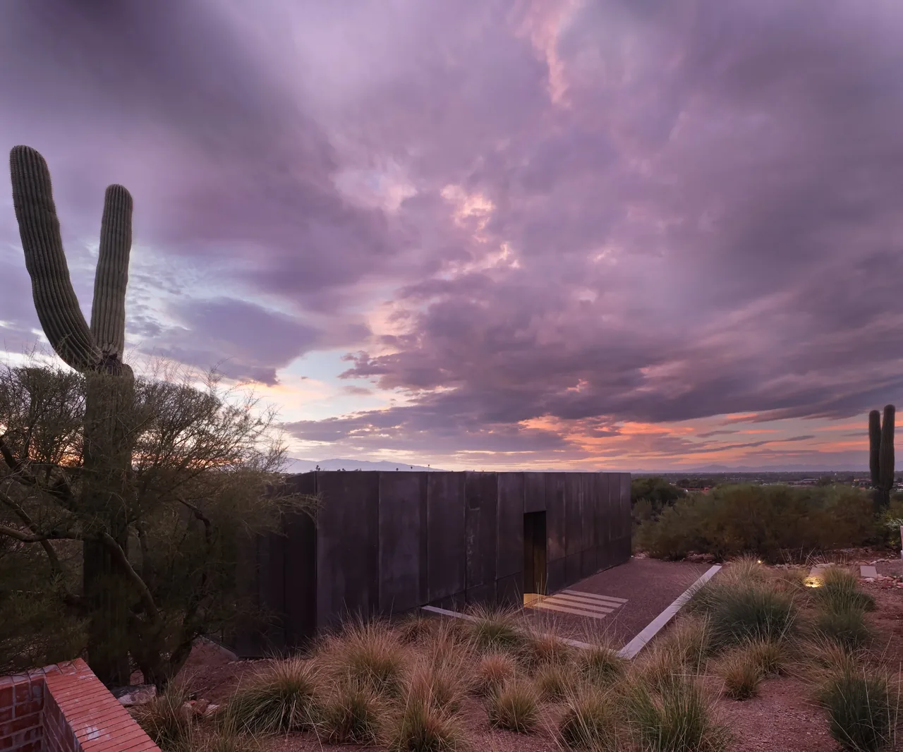 casita OBSCURA by HK Associates features a minimalist dark exterior amidst desert plants at twilight.