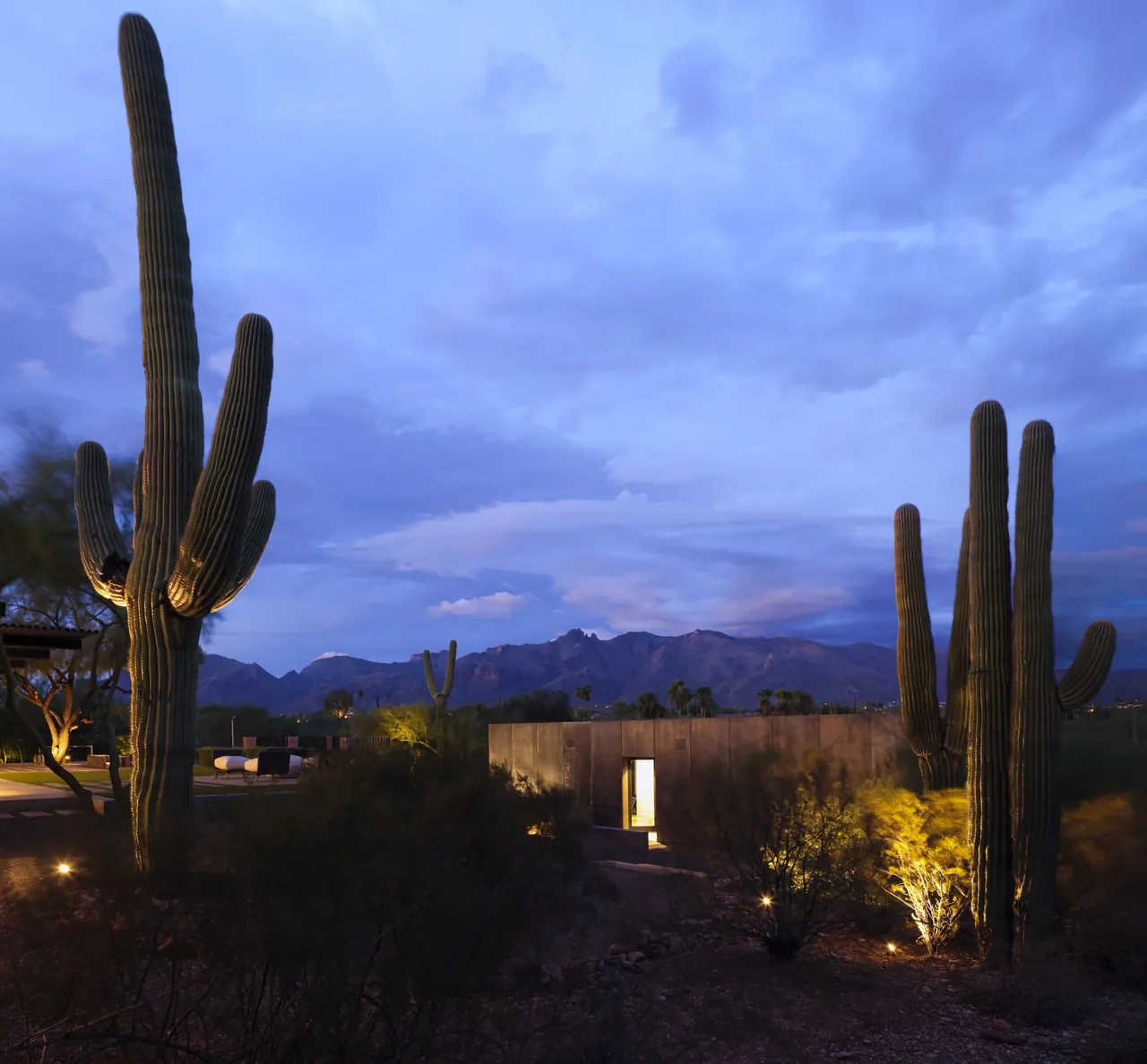 Casita OBSCURA features a rectangular metal-paneled volume with night lighting in a desert setting with large cacti.