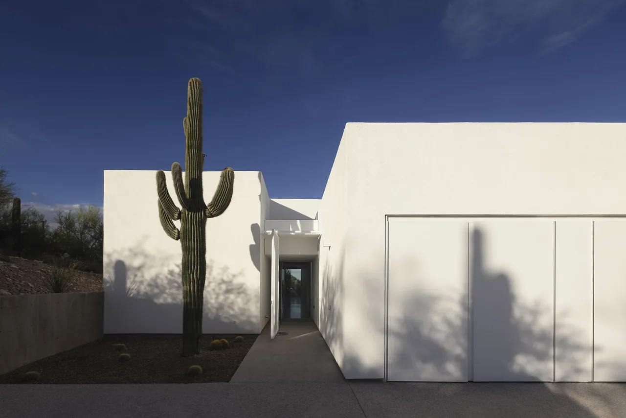 White stucco facade entrance with desert landscaping including tall cactus and gravel bed.
