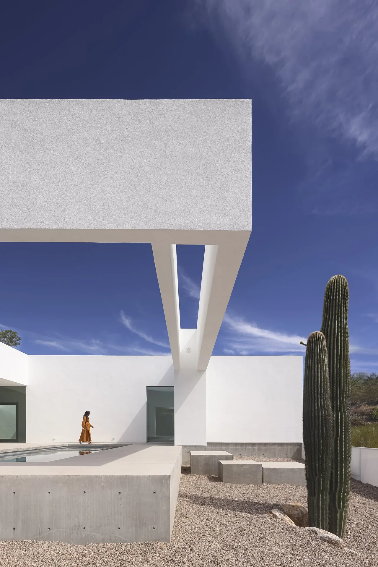 This image shows a minimalist white courtyard with a reflecting pool and tall cactus in a desert landscape.