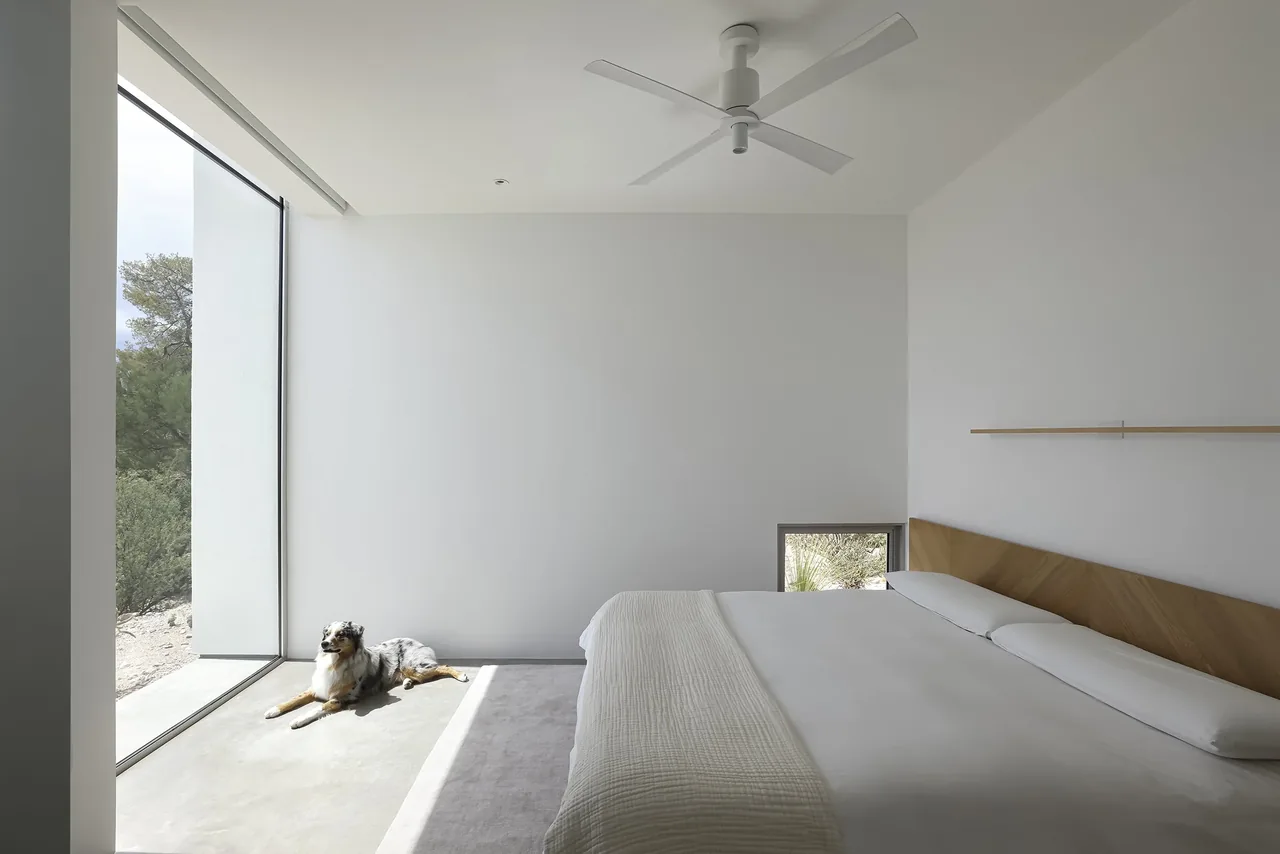 Minimalist bedroom featuring a large floor-to-ceiling window and a low wooden headboard with a dog resting by the window.