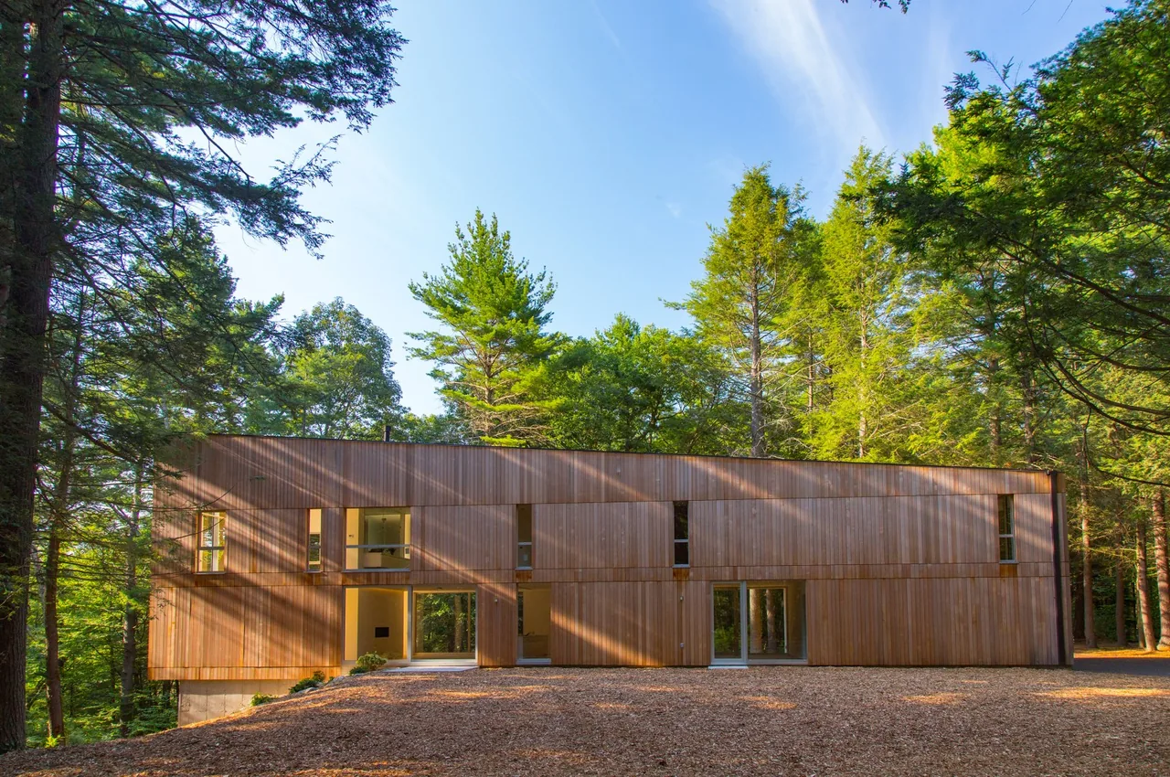 House No.207 features a modern design with vertical wood siding and many tall, narrow windows surrounded by forest.