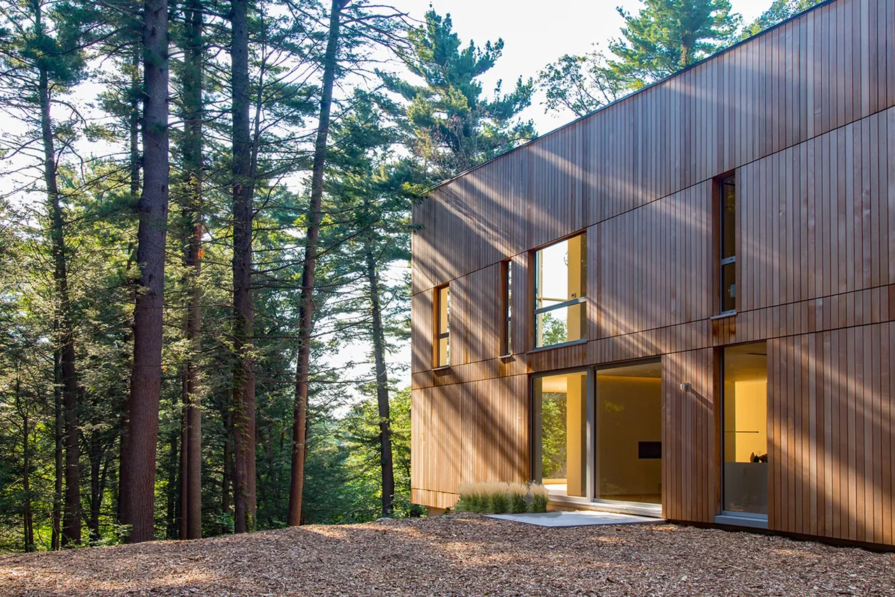 House No.207 by jacob lilley architects features a wood-paneled facade with vertical windows framing the forested site.