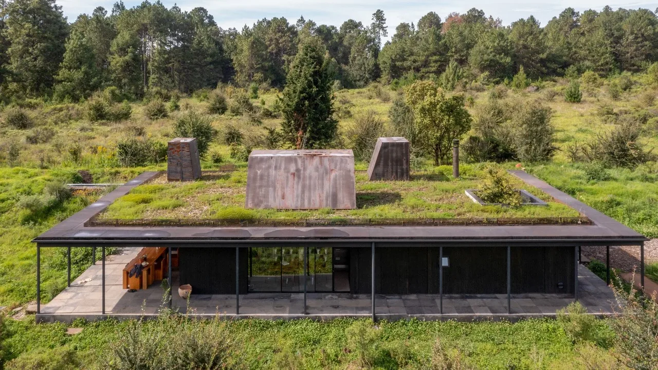 Casa Temascaltepec features a modern design with a green roof blending into its natural surroundings.