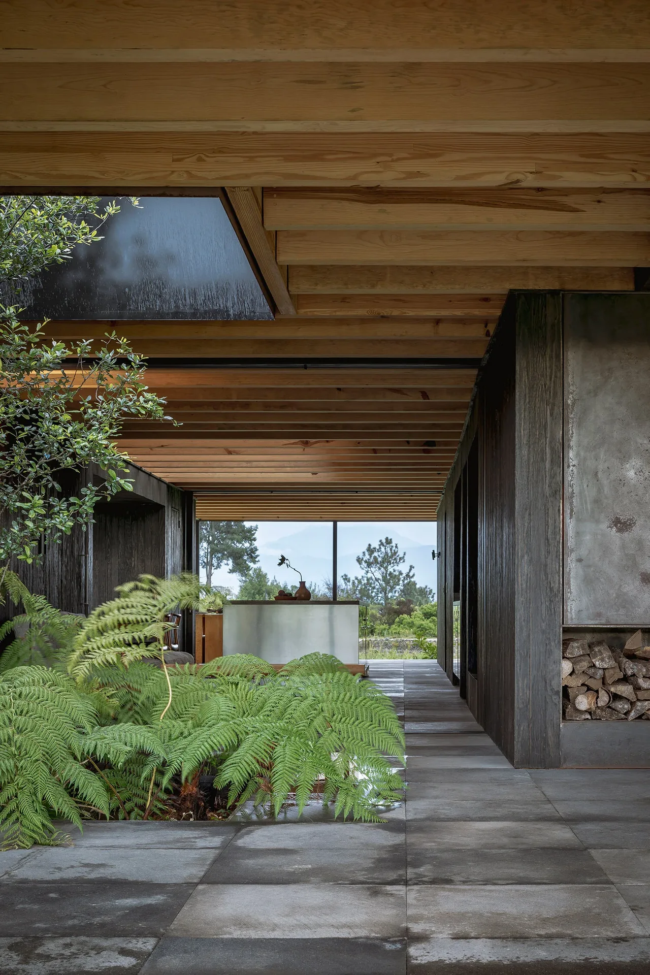Casa Temascaltepec features an exposed wood ceiling, indoor landscaping with ferns, and a metal fireplace with firewood storage.
