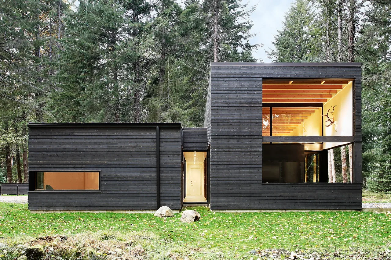 Modern house with dark wood siding and large windows set in a wooded landscape.