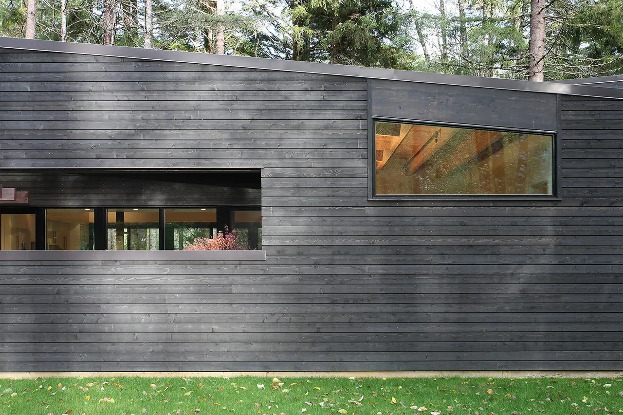 Modern house exterior features dark horizontal wood siding and two horizontal windows under a sloped roof.