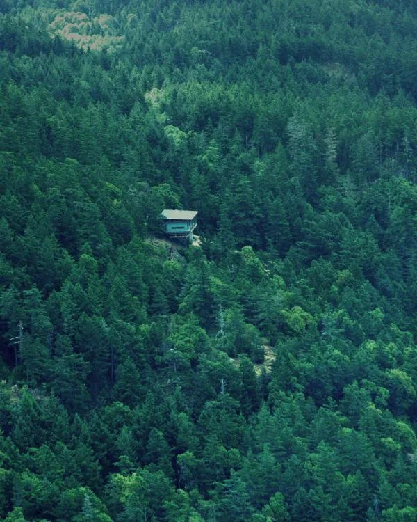 Buck Mountain Weekend project features a secluded modern cabin nestled in dense forest on a hillside.