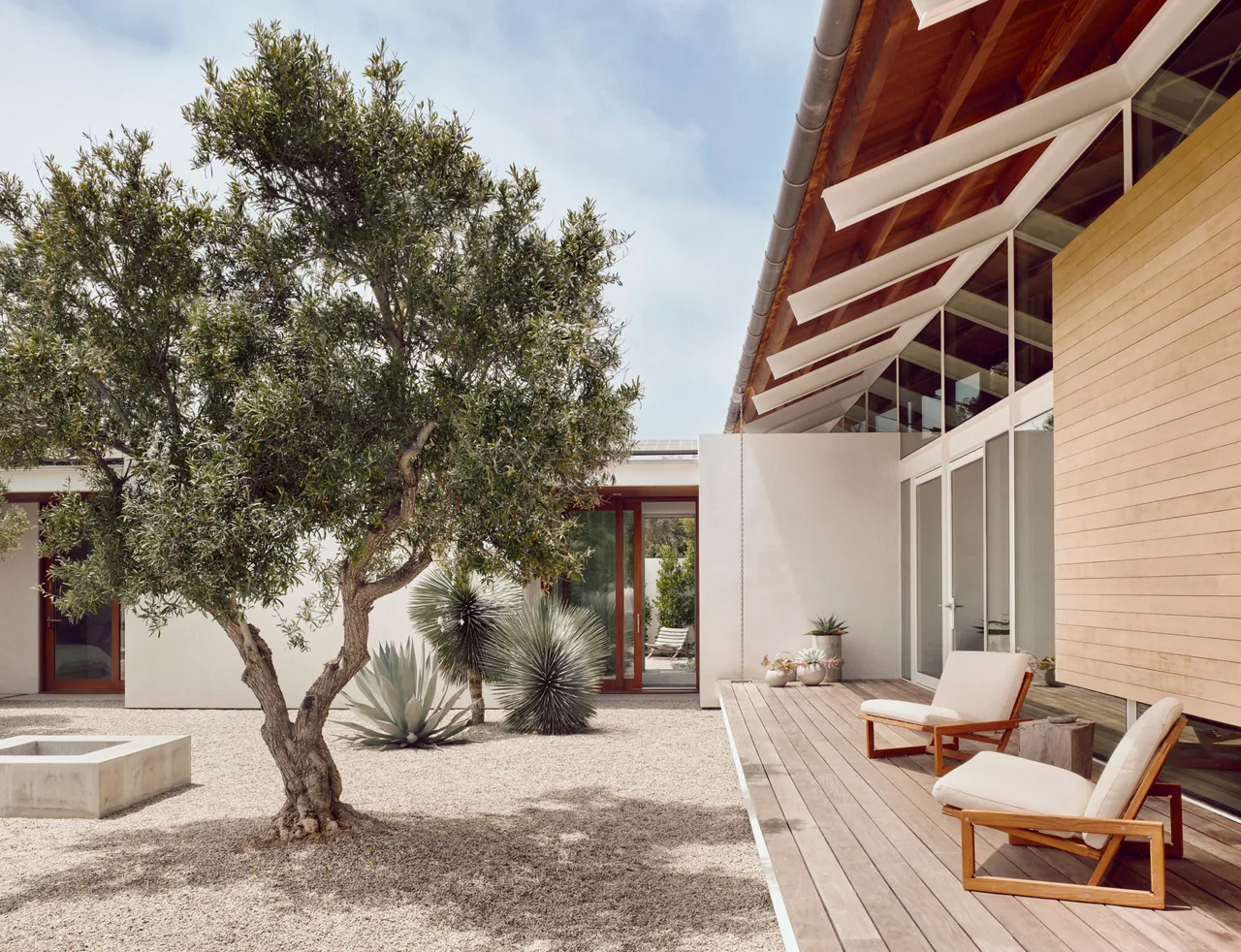 The Point Dume Residence features a courtyard with gravel landscaping, an olive tree, and a wood-paneled house with large glass doors.
