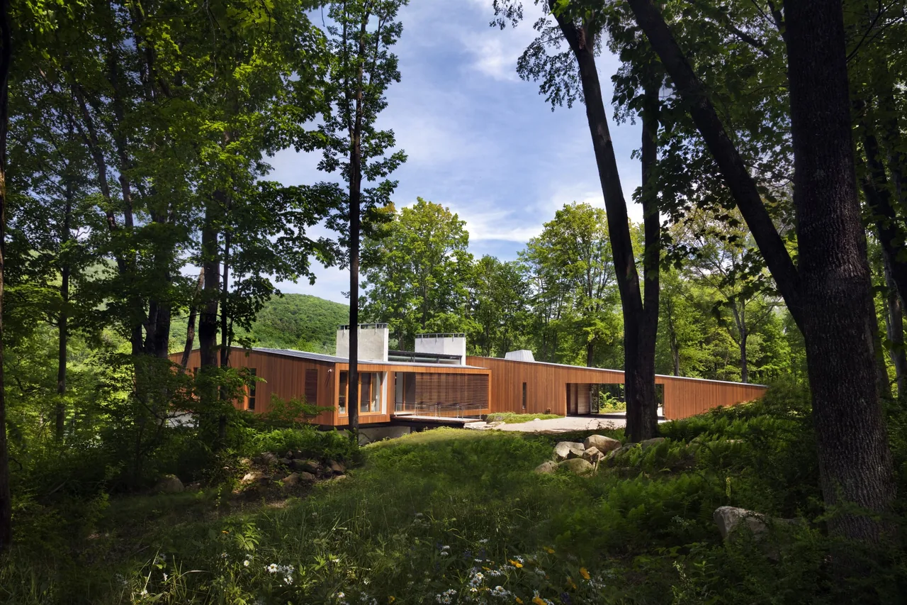 Bridge House by Joeb + Partners presents a modern, single-story home with horizontal wood siding nestled in a wooded lot.
