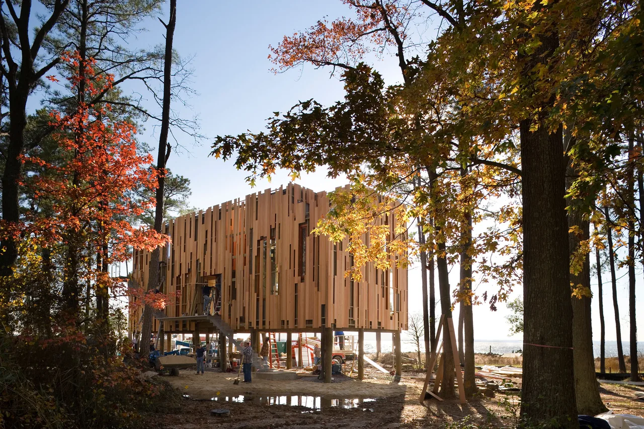 The Loblolly House features an elevated design with vertical wood paneling on a wooded coastal site.