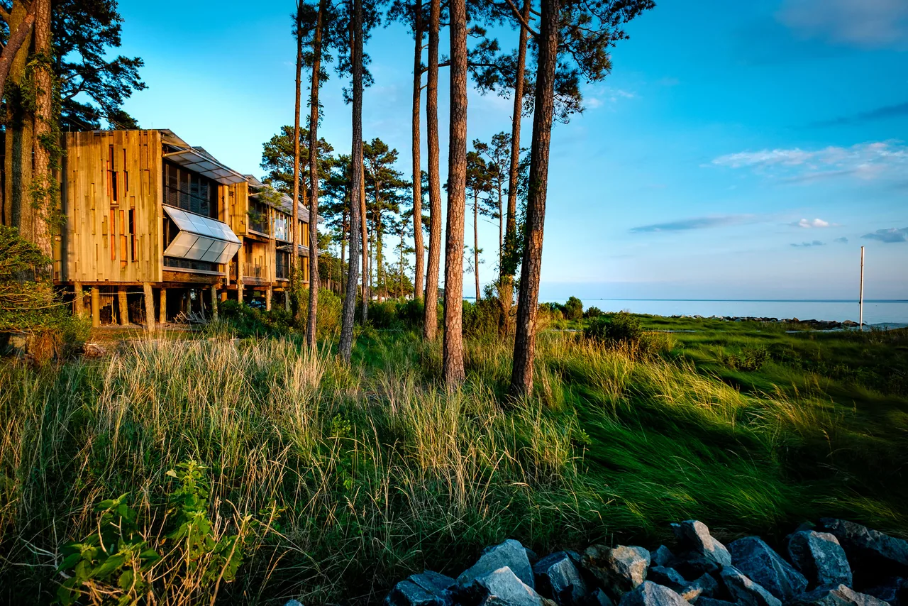Loblolly House by KieranTimberlake is elevated on stilts and clad in wood, located in a coastal grassy landscape near water.
