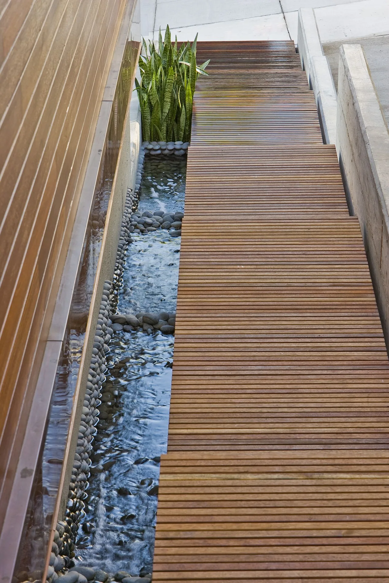 Wood slat walkway adjacent to a water feature with river stones and snake plants.