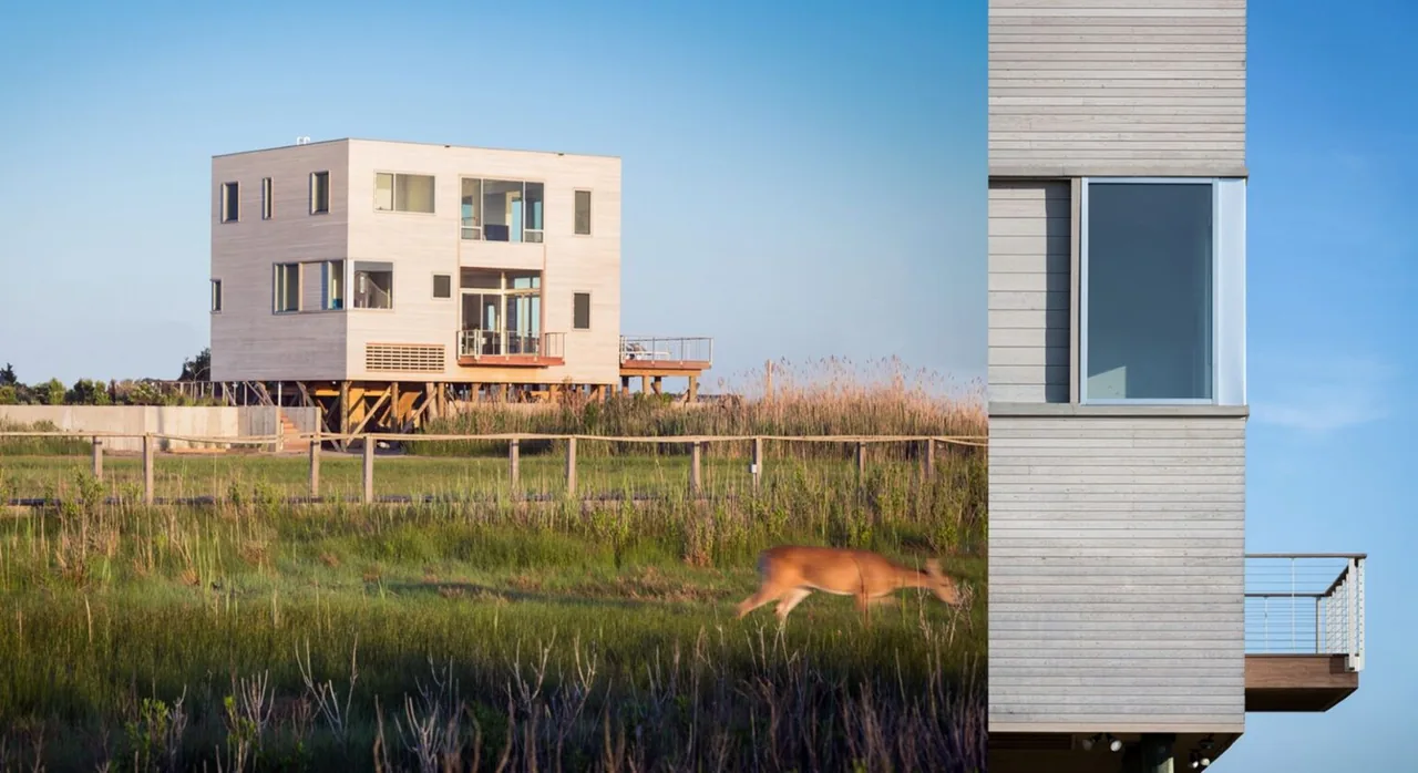 Cube House features a raised cube form with wood siding and rectangular windows, set in a grassy landscape.
