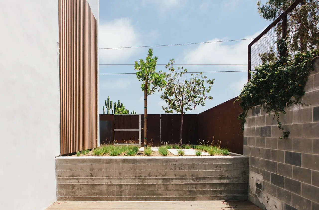 Raised concrete planter with young trees and grasses in a minimalist urban backyard setting.