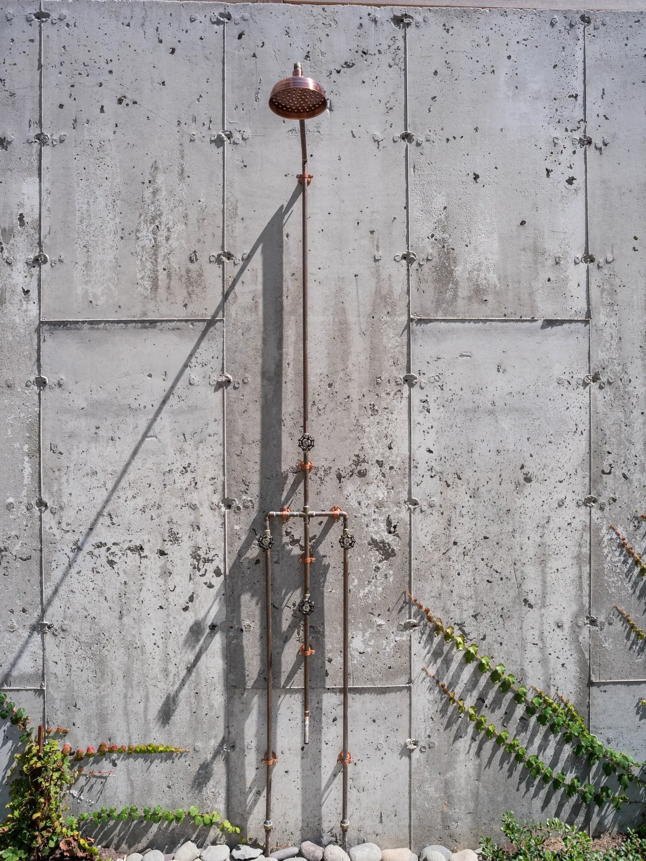 Copper outdoor shower fixture attached to a large concrete wall with climbing plants along the base.