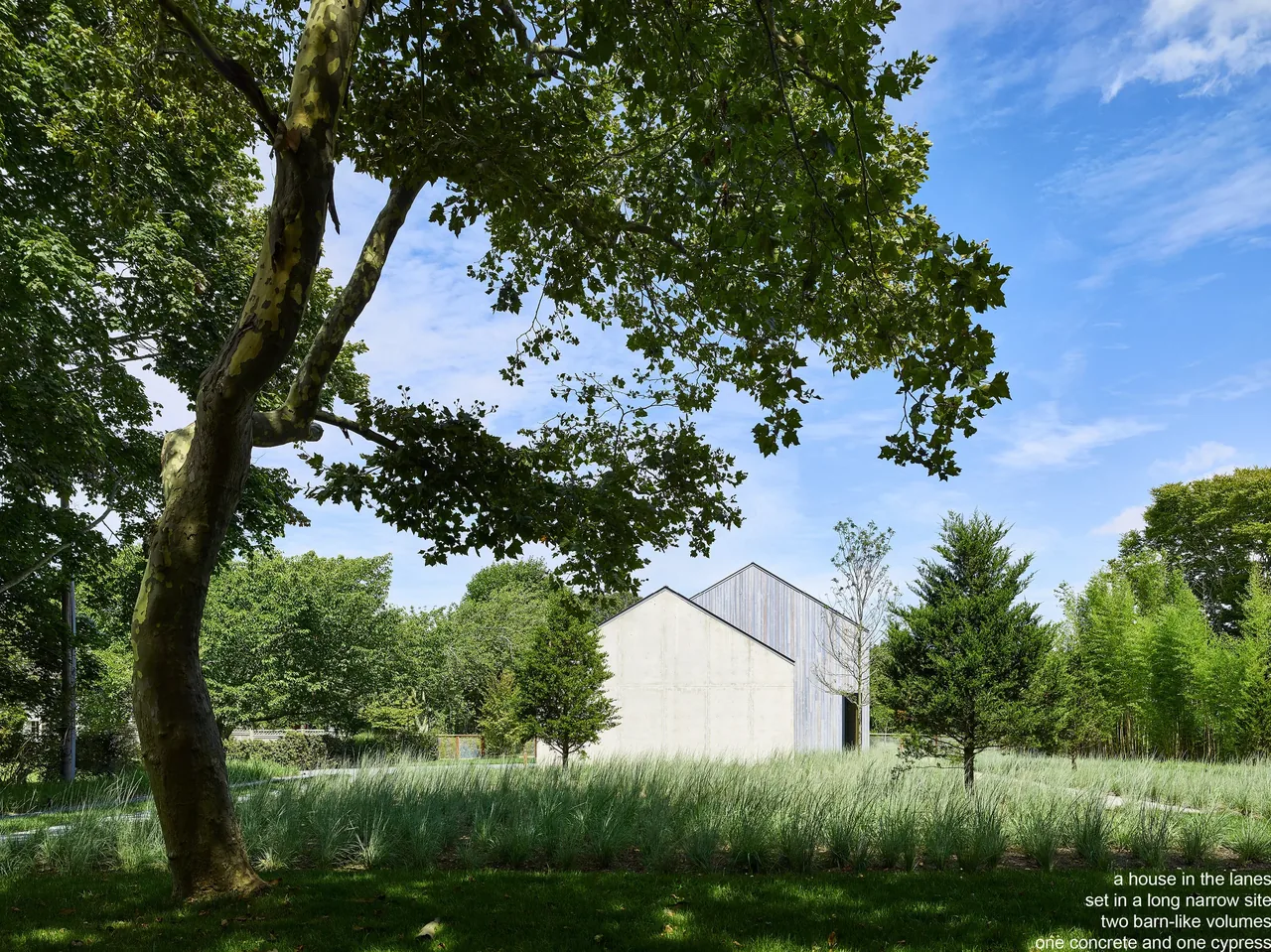 House in the lanes features two barn-like volumes clad with vertical wood and concrete walls amid a lush green lawn and trees.