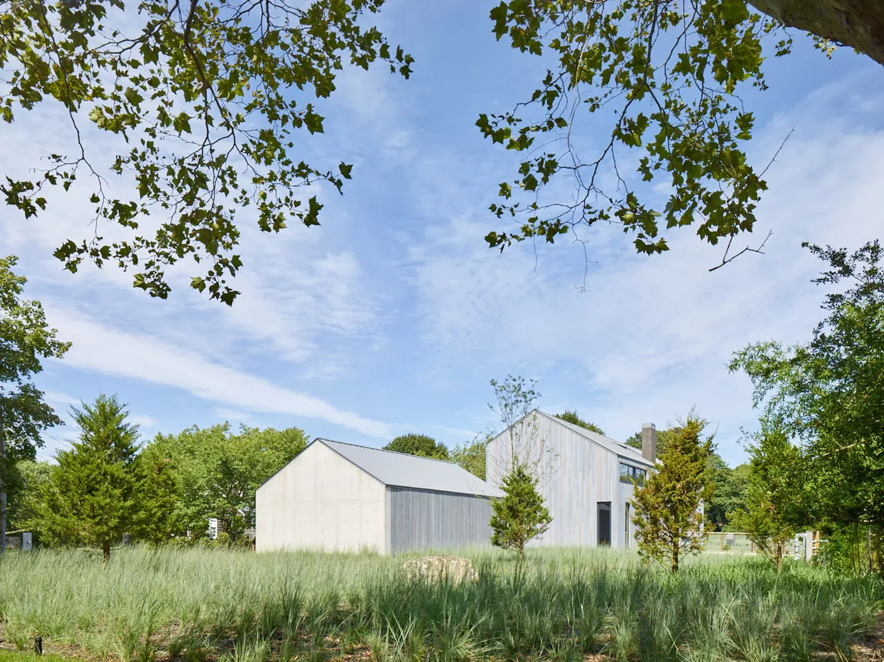 Exterior view of a modern house featuring vertical wood siding and a standing seam metal roof amid natural landscaping.