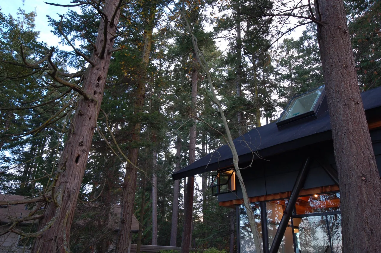 Glass cabin exterior with large glass walls and a dark roof, nestled in a wooded setting.