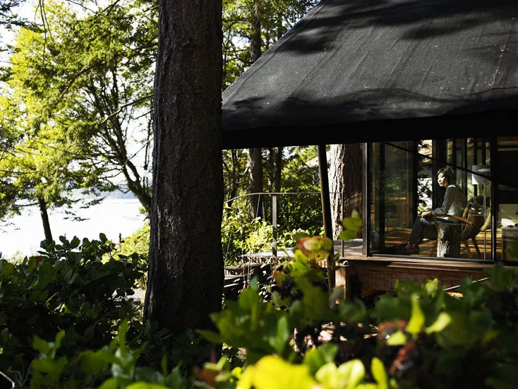 Glass cabin with floor-to-ceiling glazing nestled in lush forest by the water.
