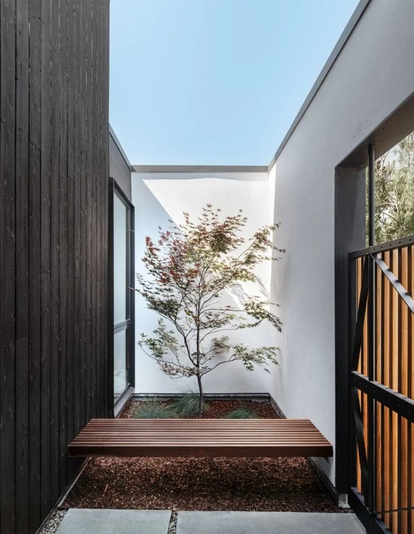 Courtyard features a floating wooden bench and a small tree between dark wood and white stucco walls.