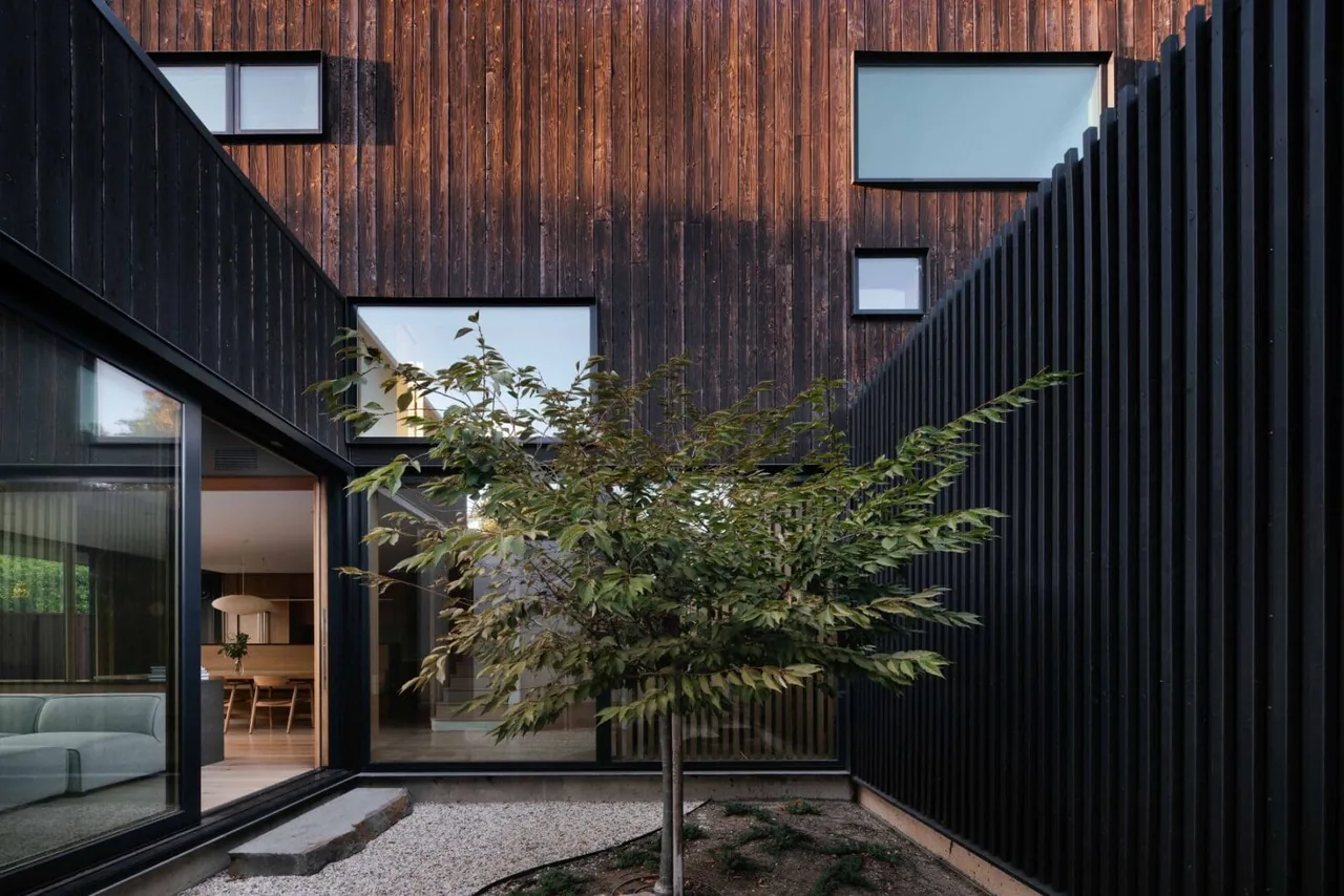 The Cupertino Courtyard House features a minimalist courtyard with charred wood siding and vertical wood slats, framed by rectangular windows.