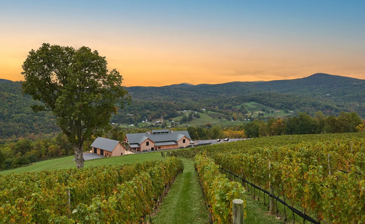 Crimson Lane Vineyard features a timber-framed structure amid rows of grapevines with hills at sunset in the distance.