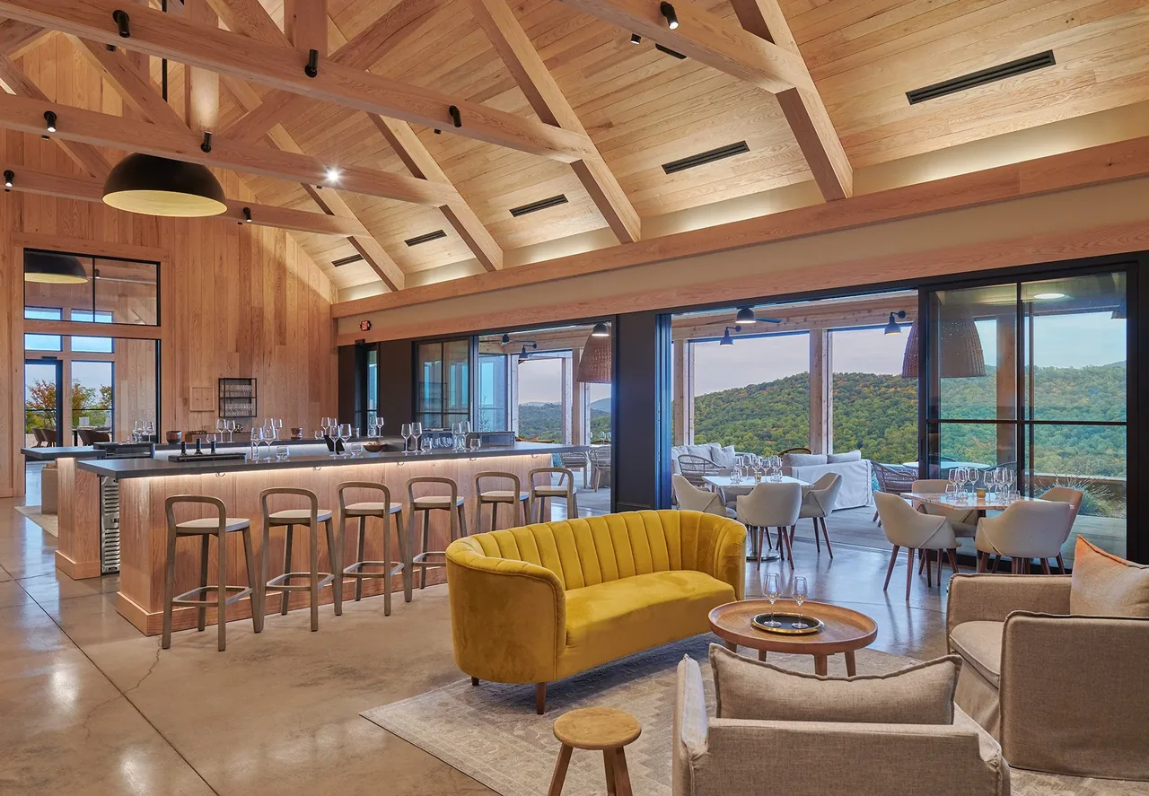 Vaulted wood-paneled ceiling and timber framing highlight the lounge and bar area opening to an outdoor dining space with mountain views.