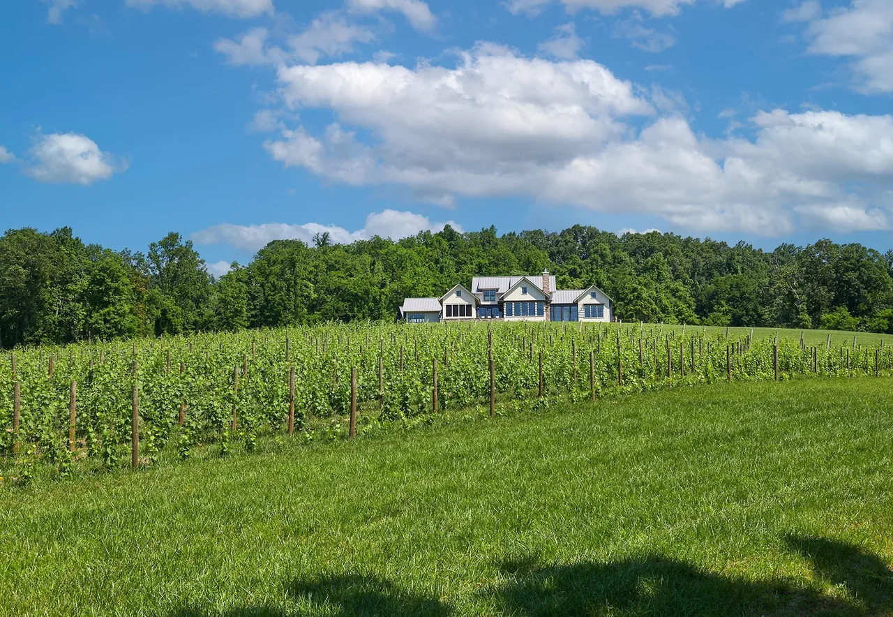 Crimson Lane Residence features a barn-style house with metal roofing surrounded by vineyard and lawn landscape.