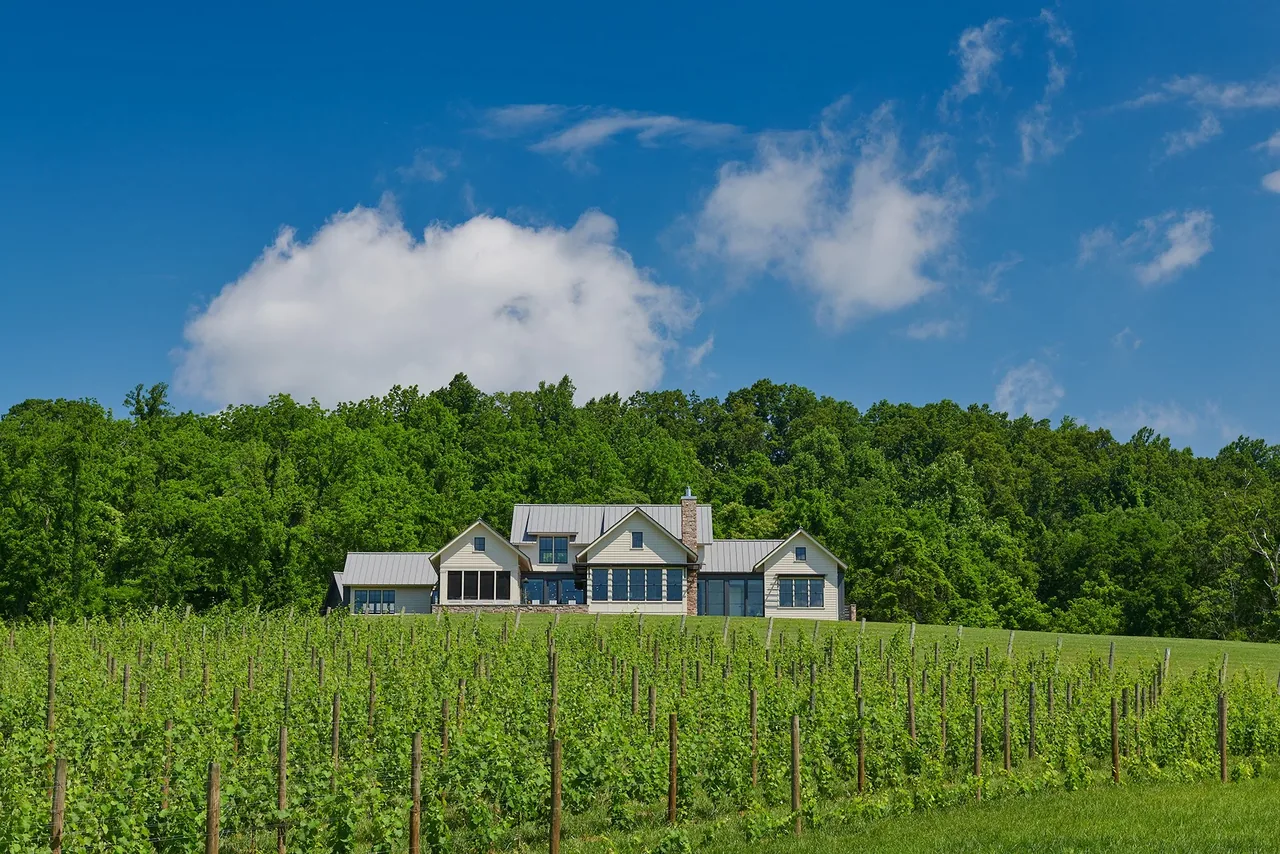 Modern farmhouse with metal roofing and stone chimney amid vineyard and large lawn.