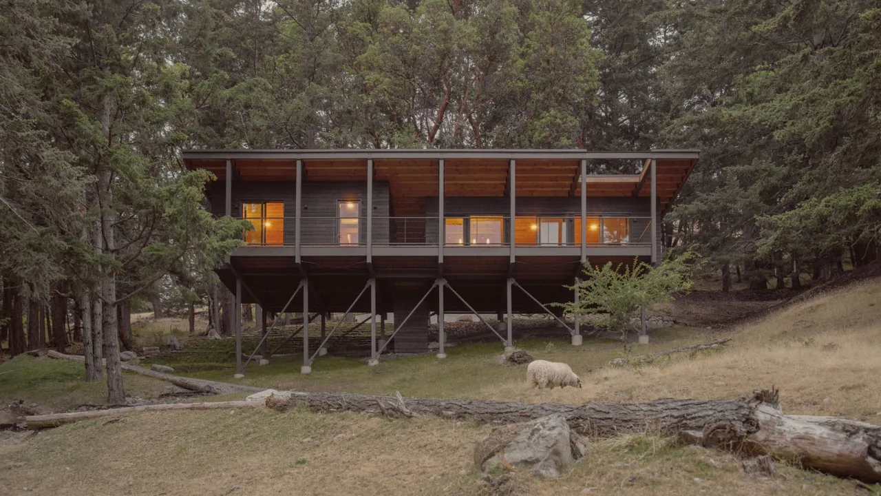 Elevated Trestle Cabin with black wood siding and glowing windows nestled in a wooded area.