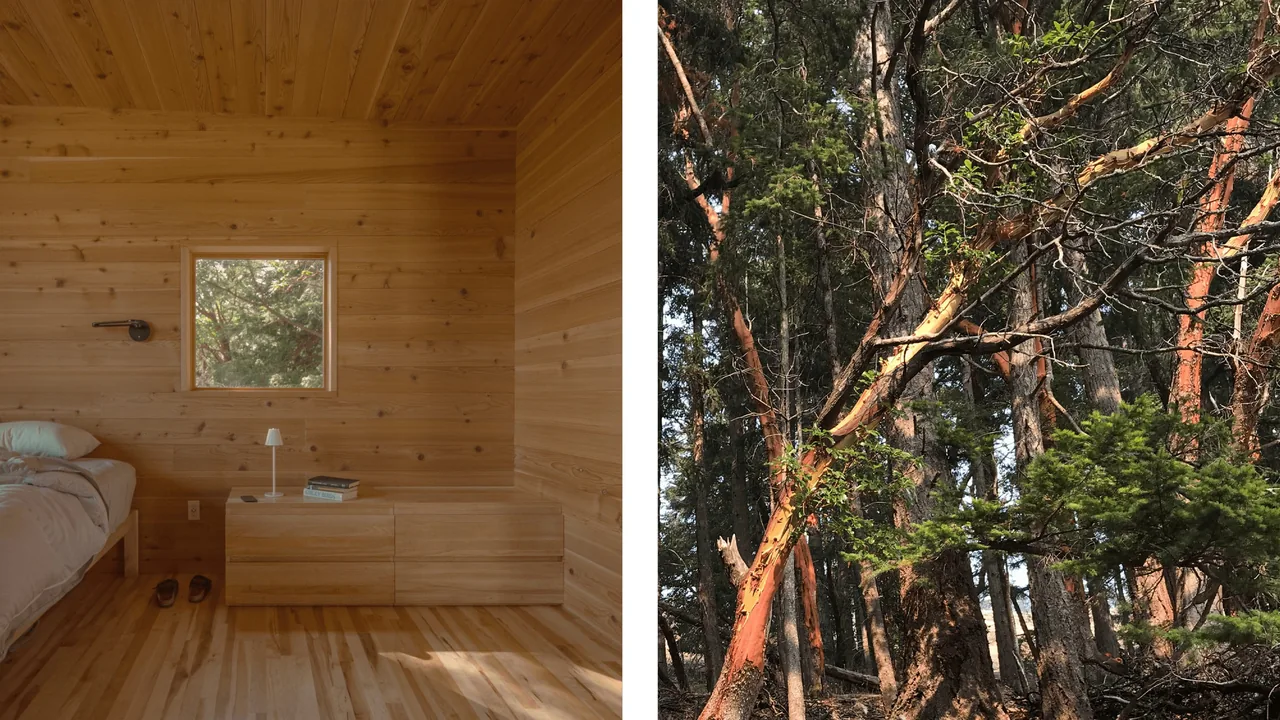 Wood-paneled bedroom interior with a square window revealing forest outside at Trestle Cabin Decatur Island.