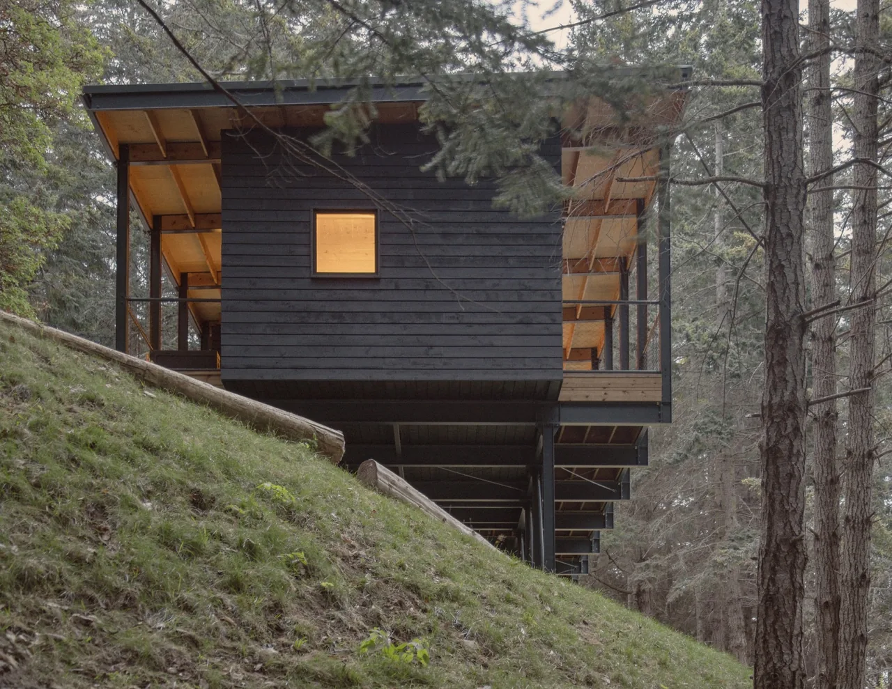 Trestle Cabin features black wood siding and is elevated on steel columns on a sloped forested site.