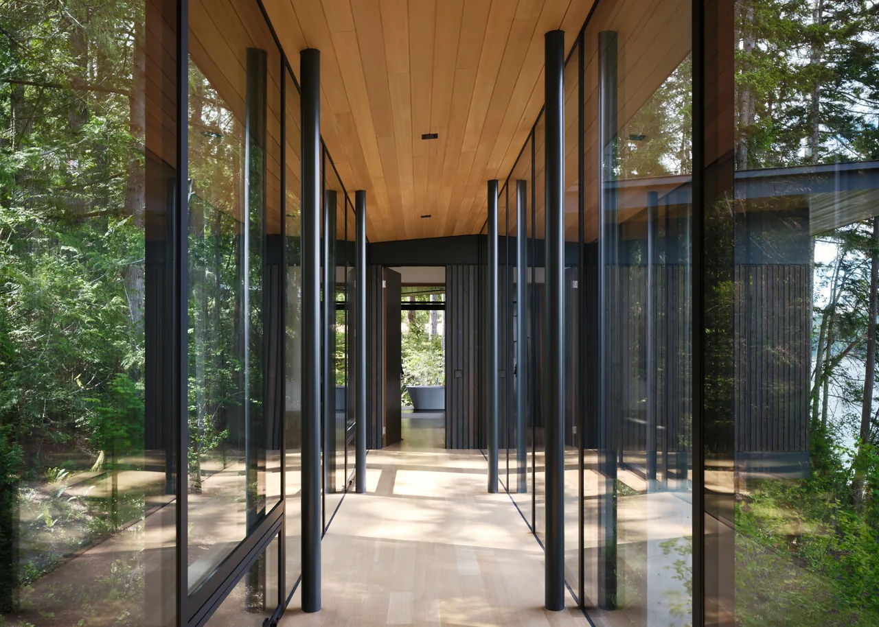 Glass-walled corridor with black steel framing and timber ceiling overlooking the natural surroundings.