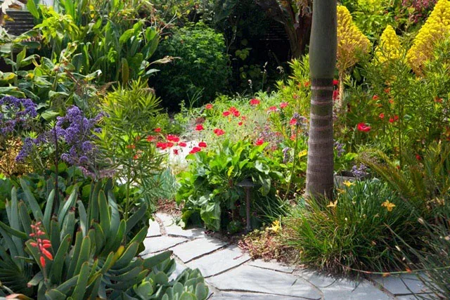 A stone pathway winds through a lush garden with various colorful flowers and greenery.