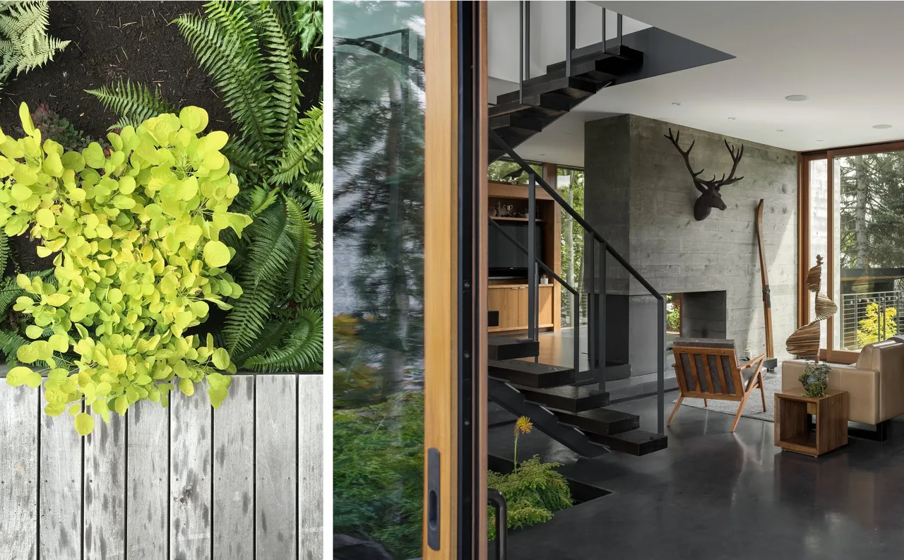 Magnolia residence living room features a concrete fireplace, floating stairs, and large wood-framed windows offering indoor-outdoor connection.