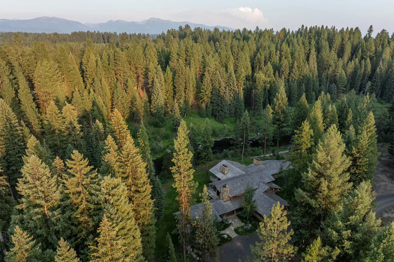 Chalet Redux is nestled in a dense pine forest with a mountainous backdrop visible beyond the trees.