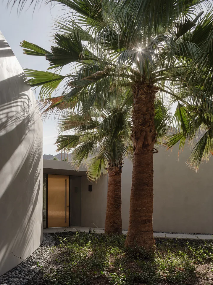 Courtyard view at Eldorado Tres showing palm trees, curved stucco wall, and wooden entrance door.