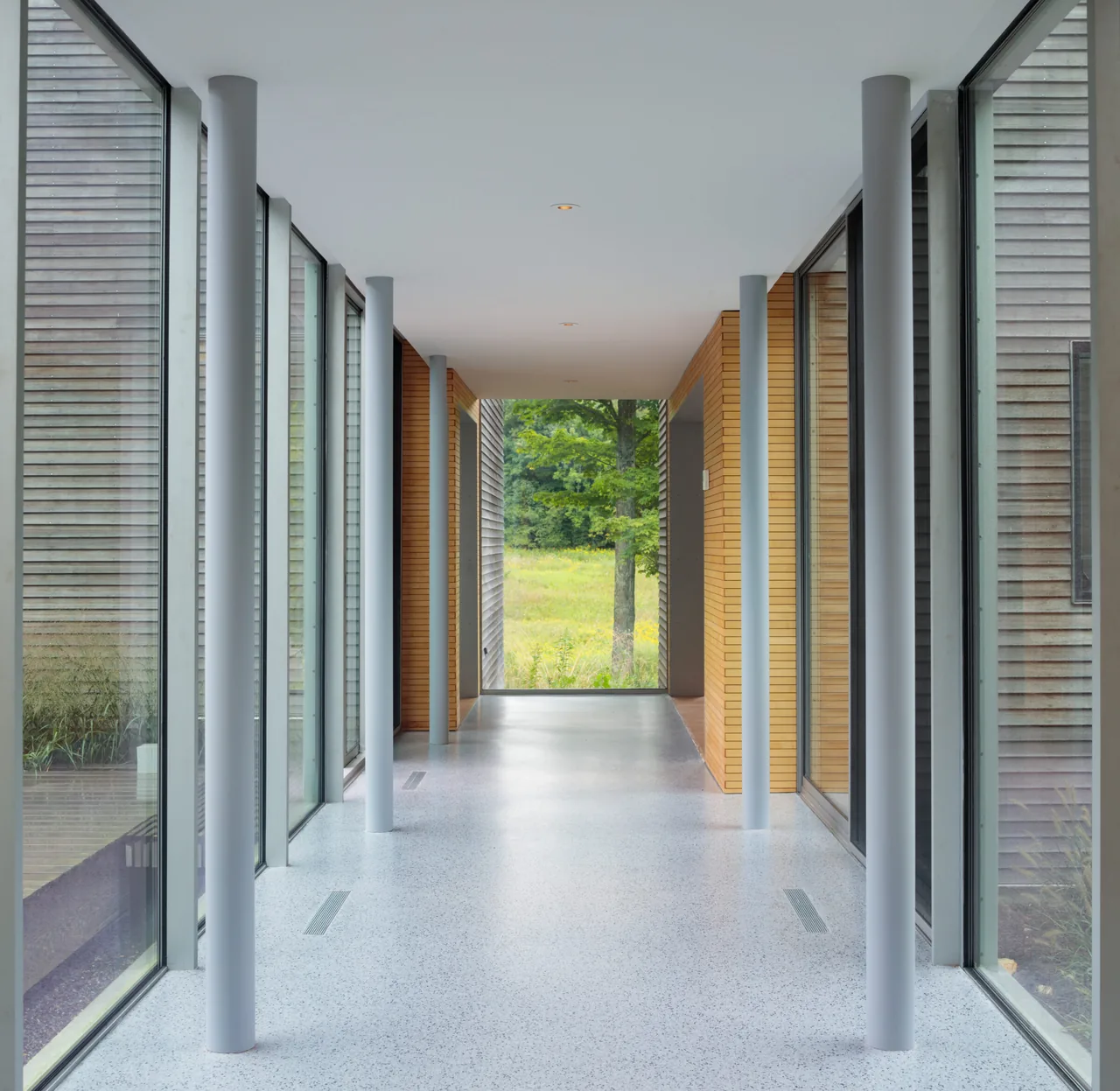 Hallway with floor-to-ceiling glazing and vertical wood siding leading to an outdoor view.