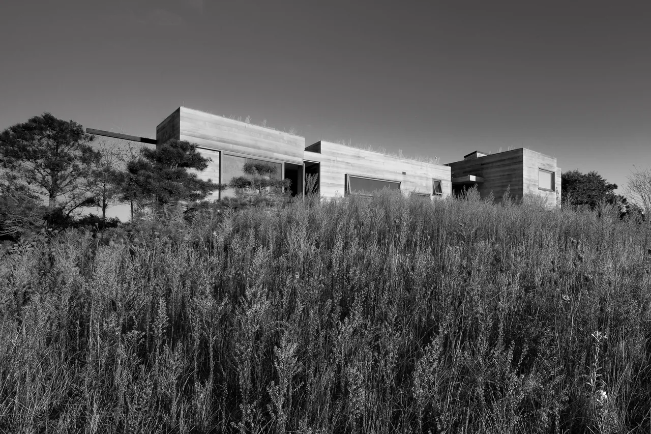 The Island Residence by Peter Rose + Partners features a raised concrete structure with large windows set in dense natural grasses.
