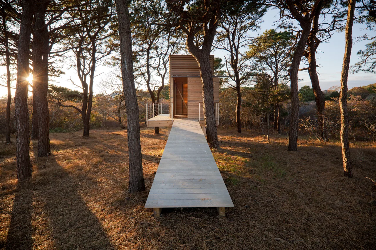 The raised storage shed accessed by a boardwalk among pine trees captures the site's natural setting.