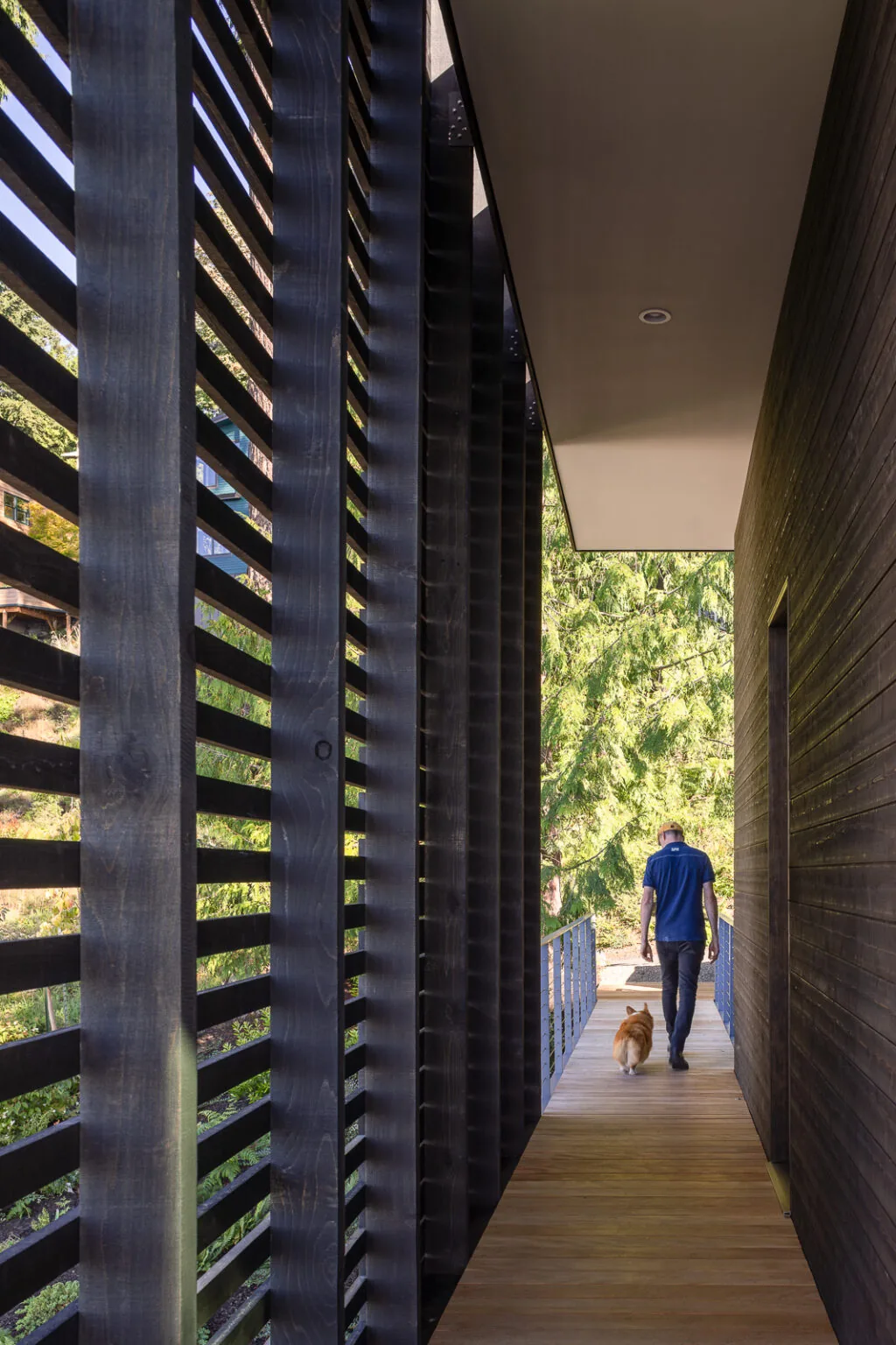 Narrow wooden walkway flanked by dark horizontal wood siding and a black wood slat screen with cable railing.