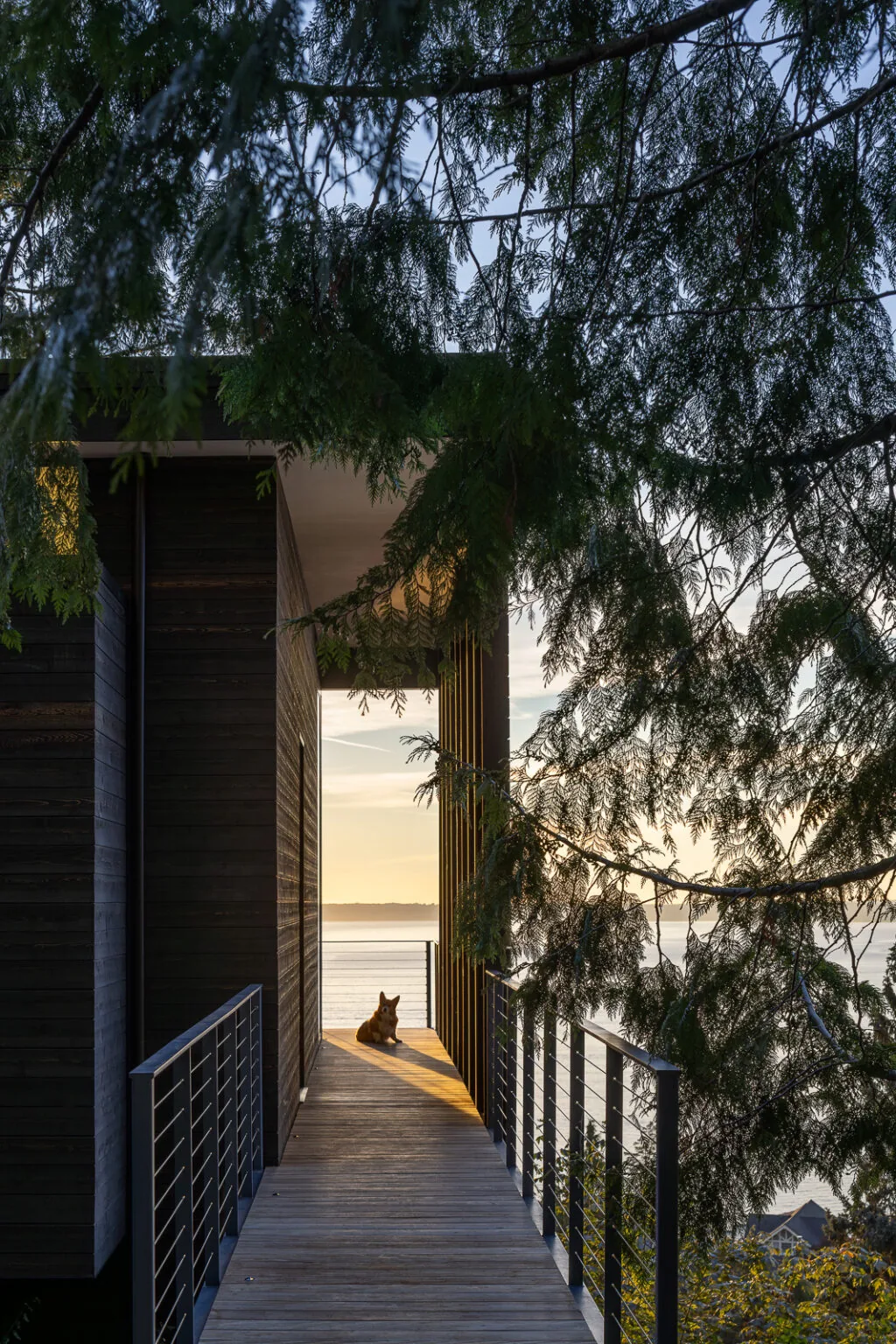 Wooden walkway with cable railing alongside dark wood siding leads to a water view at sunset, with a dog resting in the light.