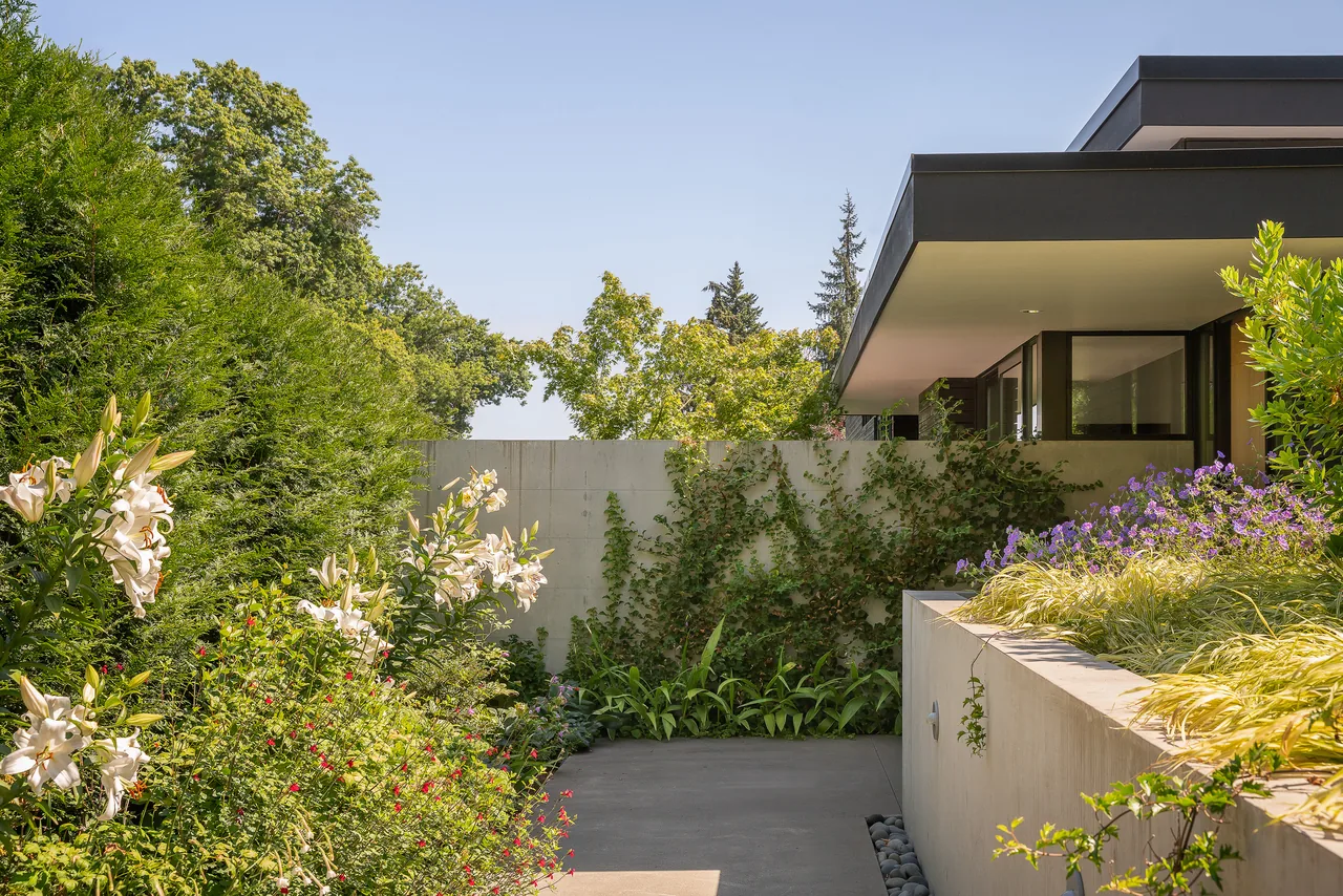 Elegant garden path that leads to the main entrance of a home that veers to the right following a concrete wall.