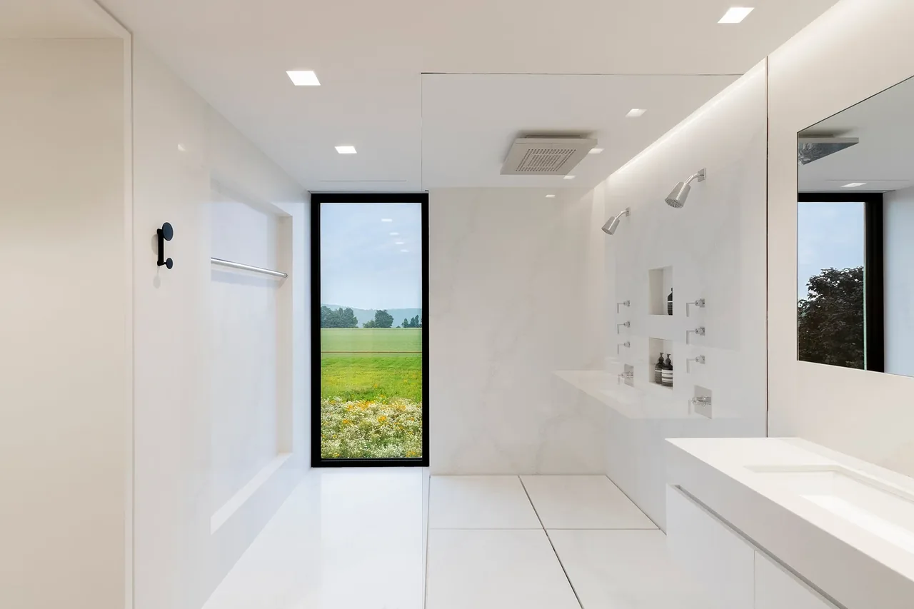 Bathroom features a walk-in shower, white vanity with large mirror, and a tall black-framed window with a landscape view.
